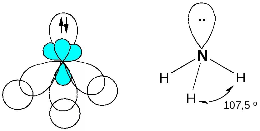 Пространственная структура nh3. Пространственная структура nh3