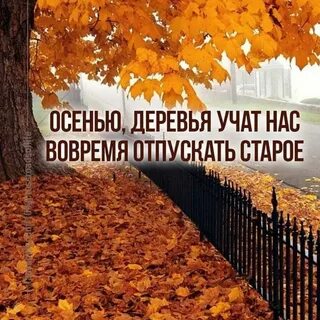 Не знаю осень