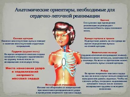 Куда наносят удары