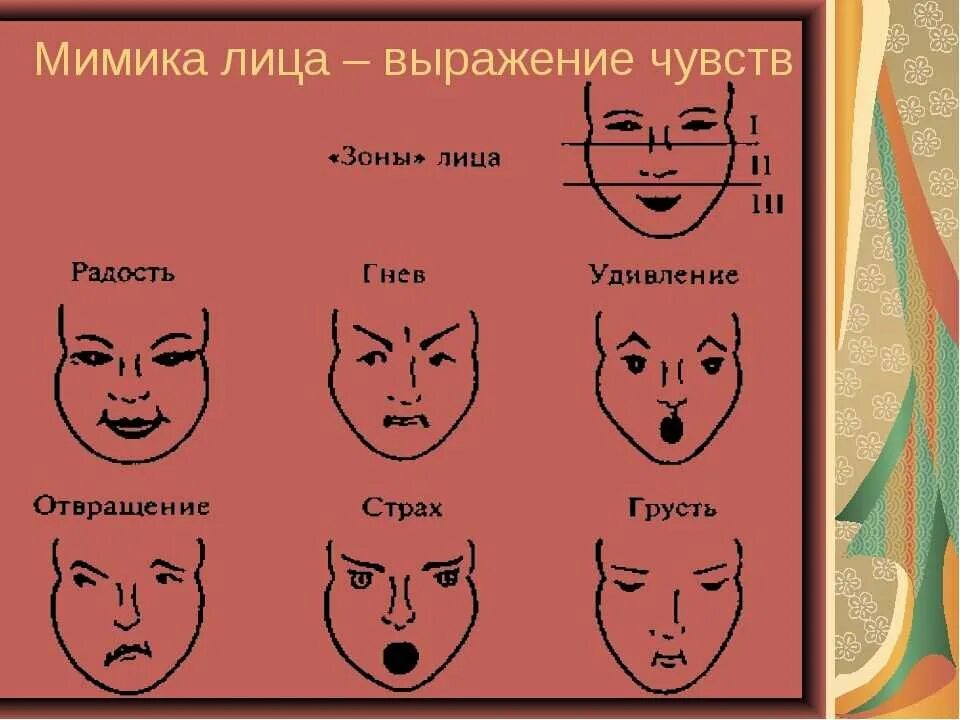 Какое может быть выражение лица. Мимическое выражение эмоций. различные выражения лица. мимические выражения лица. лица выражающие эмоции.