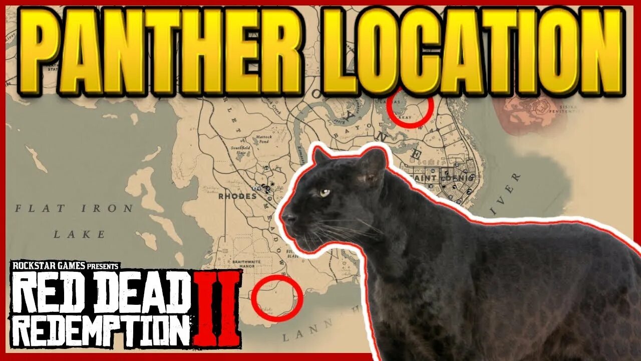 Где найти пантеру в рдр 2. Rdr 2 panther location. пантера рдр. пантера red dead online. пантера рдр 2.