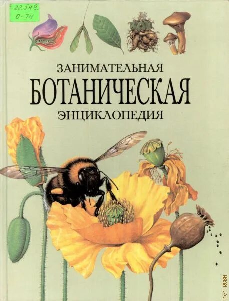 Занимательная ботаника для малышей. Осипов, н. ф. Занимательная Ботаническая энциклопедия. Энциклопедия по ботанике. Обложка книги ботаника. Книга про ботанику.