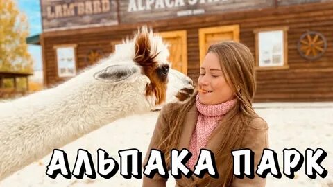 Белый колодец альпака