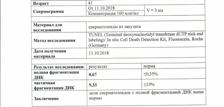 Фрагментация днк методы. Норма показателей фрагментации ДНК спермограммы. Фрагментация спермограммы ДНК расшифровка анализа. Расшифровка фрагментации ДНК спермограммы. Фрагментация ДНК спермограммы пример.