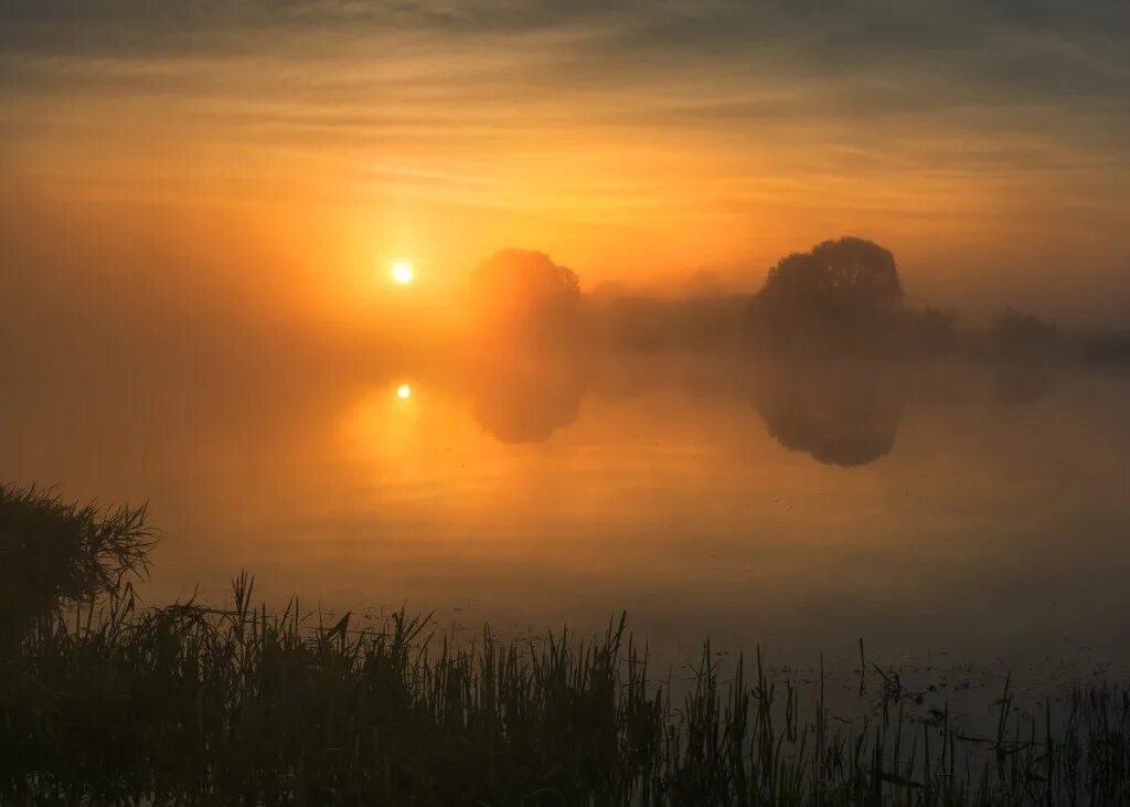 Уж солнца раскаленный шар. Летний вечер тютчева. Солнечный уж. "летний вечер" (ф. Брезжит свет.