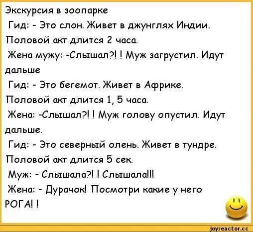 Анекдоты про зоопарк. Шутки про зоопарк. Анекдот про зоопарк экскурсия. Анекдот про шведскую семью. Анекдоты зоопарк