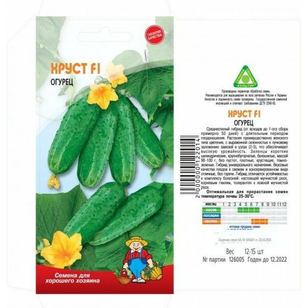 Огурец (а) лихие хлопцы f1 аг51. Огурец хрустящая грядка f1. Огурцы длинные. Огурцы сорт тсха. Огурец доллар f1.