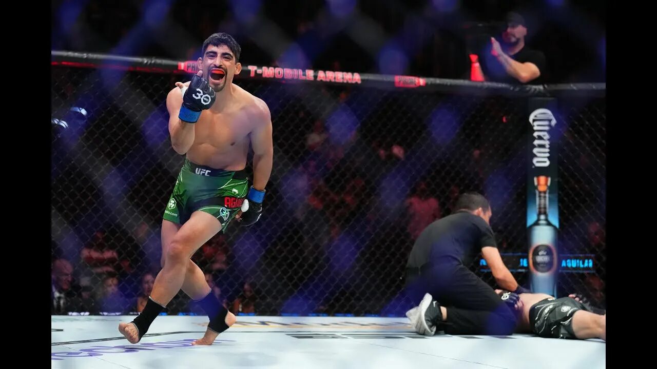 Ufc 290. Shannon ross. Уго агилар. Стюарт николл хесус агилар прогноз. Стюарт николл хесус агилар прогноз.