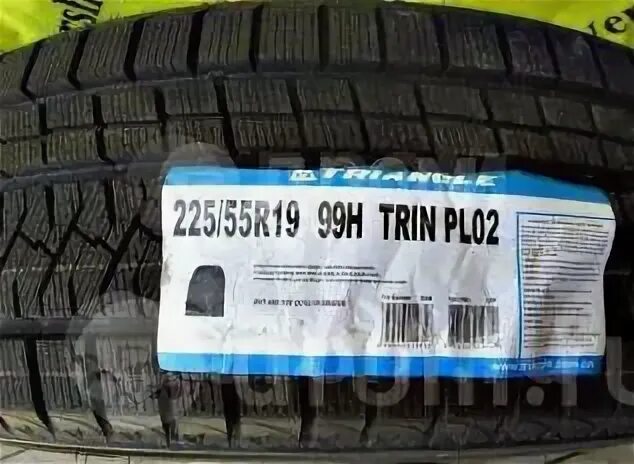 225 55 19