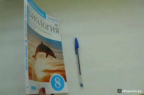 Биология 8 класс сонин с дельфином
