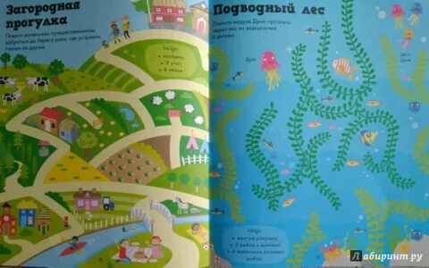 Лабиринт книги