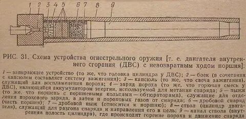 Патрон в патроннике ежели текст