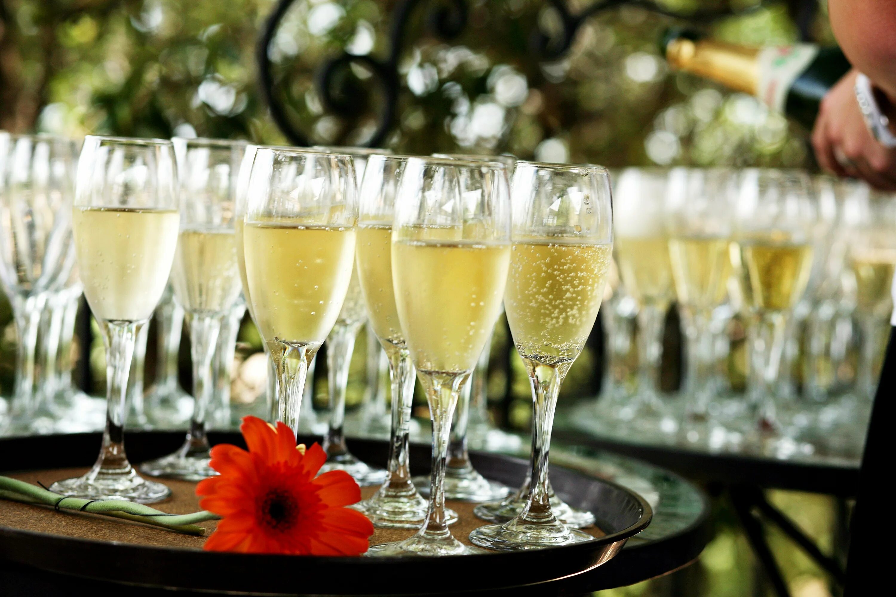 Drinking champagne. Фужеры с шампанским. Шампанское в бокале. Шампанское бокалы цветы. Бокал с шампанским на столе.