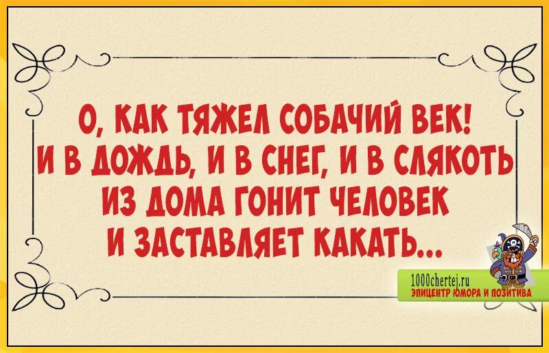 Смешные стихи. Смешные стишки. Смешные стихи короткие. Стихотворение шутка. Шутливое четверостишие