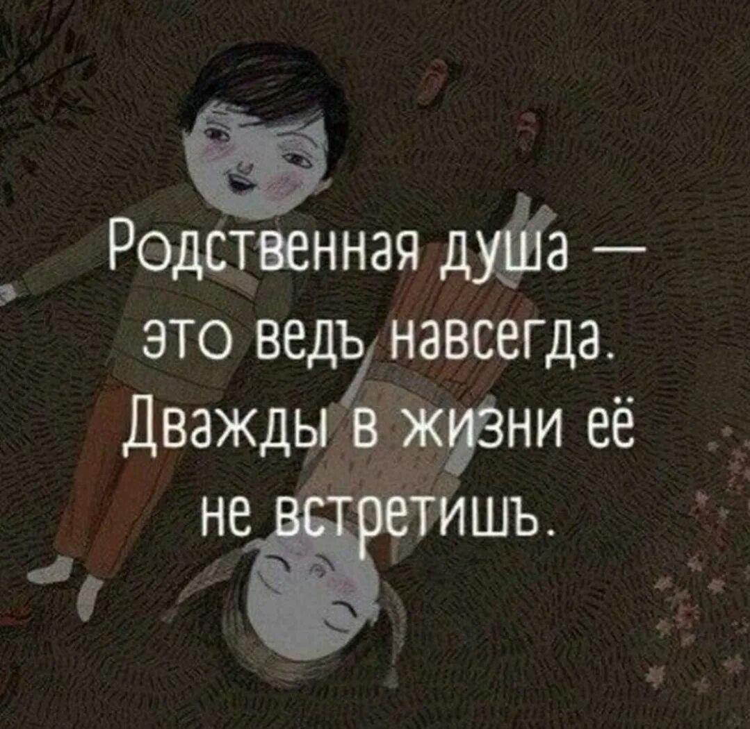 Родственные души цитаты. Высказывания про родную душу. Афоризмы про родственные души. Родная душа афоризмы. Про родственные души