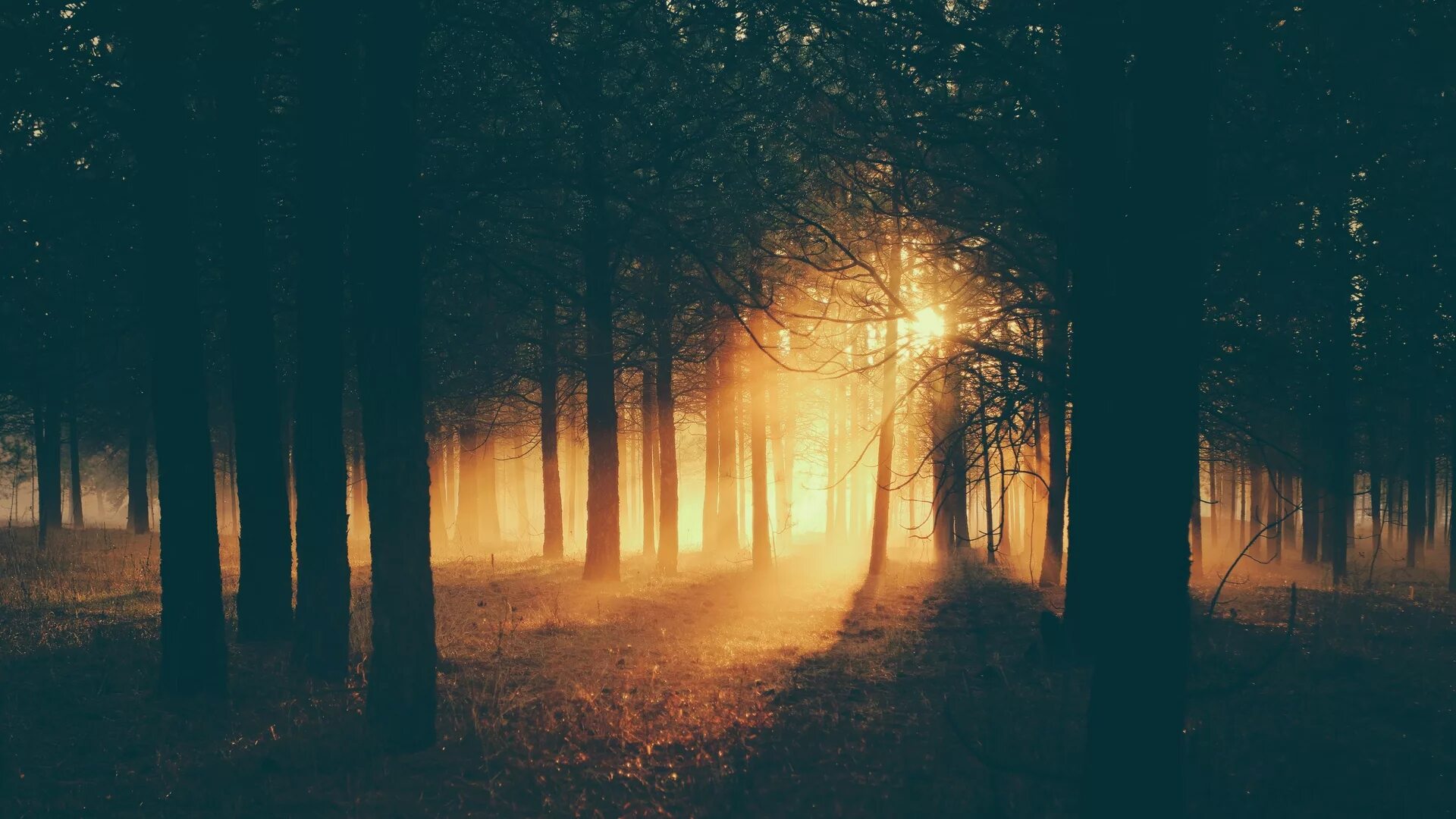 Ambient vocal