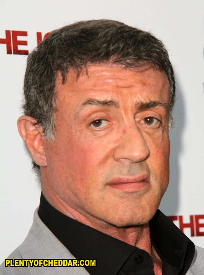 дом сильвестра сталлоне в лос анджелесе. сталлоне рост. рост сильвестра сталлоне. рост сильвестра сталлоне. рост сильвестра сталлоне.