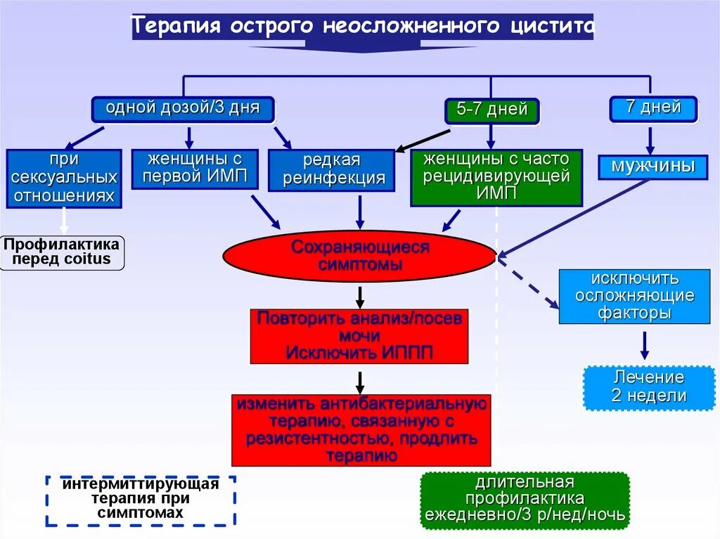 Острый пиелонефрит лечение препараты. Хронический цистит патогенез. Схема терапии острого цистита. Механизм развития цистита. Инфекция мочевых путей патогенез.