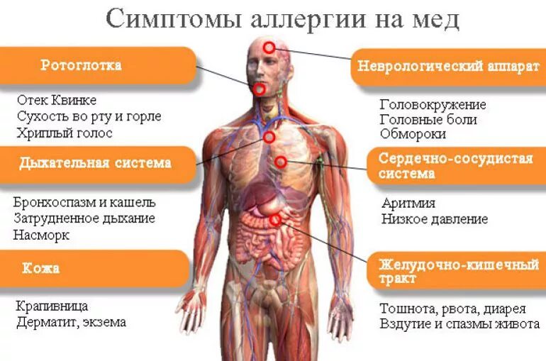 Где проявляется человек