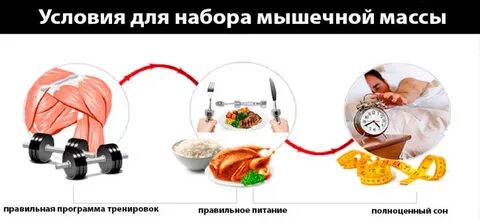 Как быстро набрать мышечный вес