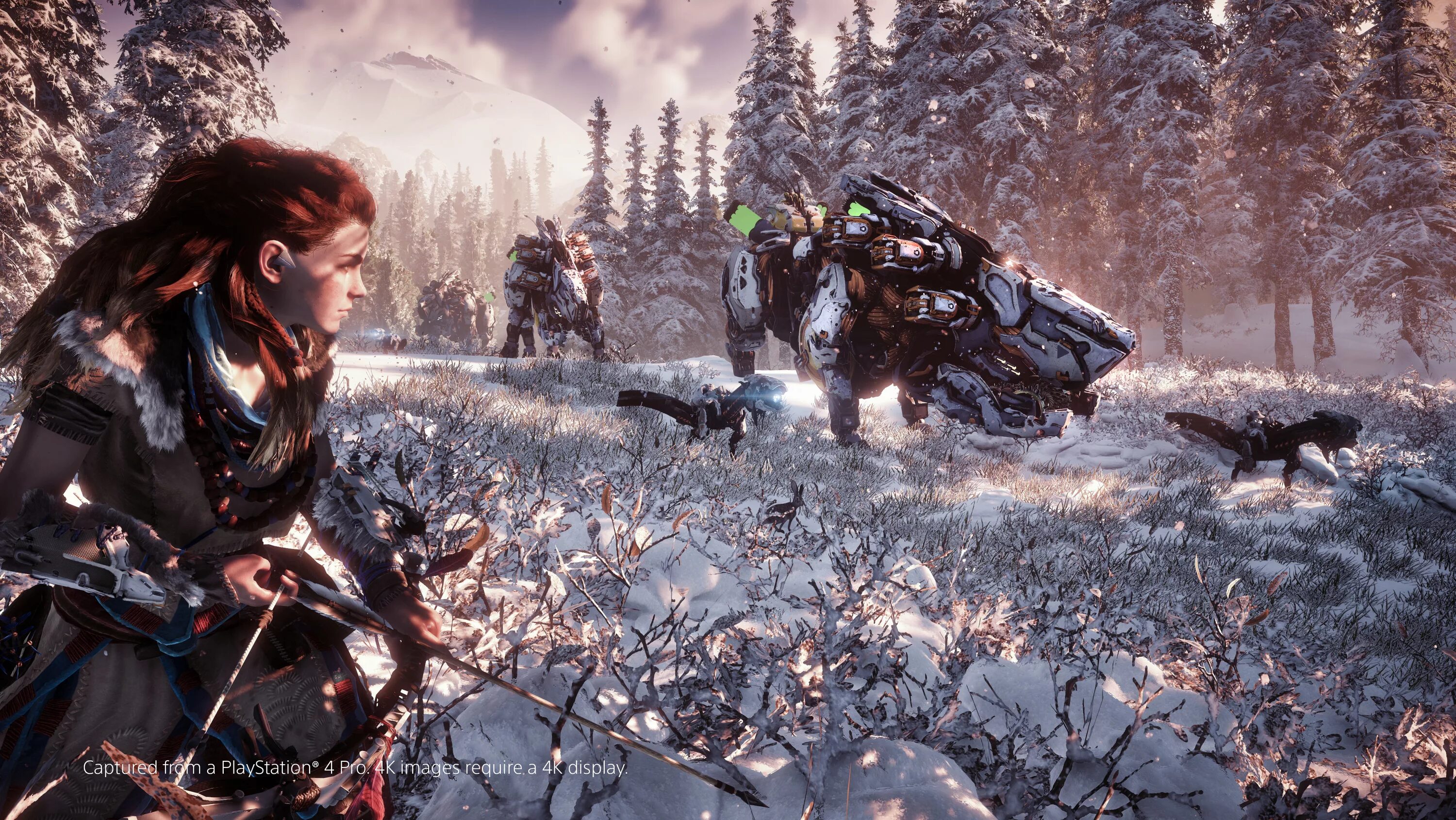 Игра Horizon Zero Dawn. Харайзон Зира Дон. Элой Horizon. Плейстейшен 4 Хорайзн.