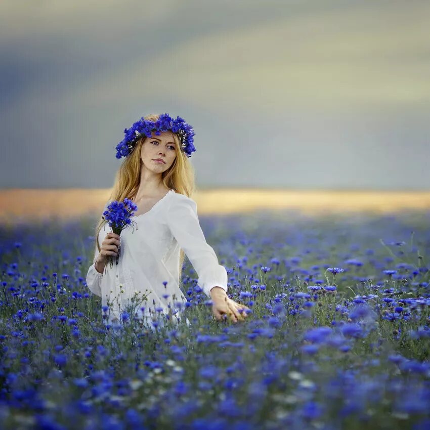 Девушка в венке bp gjktds[ wdtnjd. Полевых цветов веночек в утренней. Полевых цветов веночек в утренней. Девочка в веночке из одуванчиков. Полевых цветов веночек в утренней.