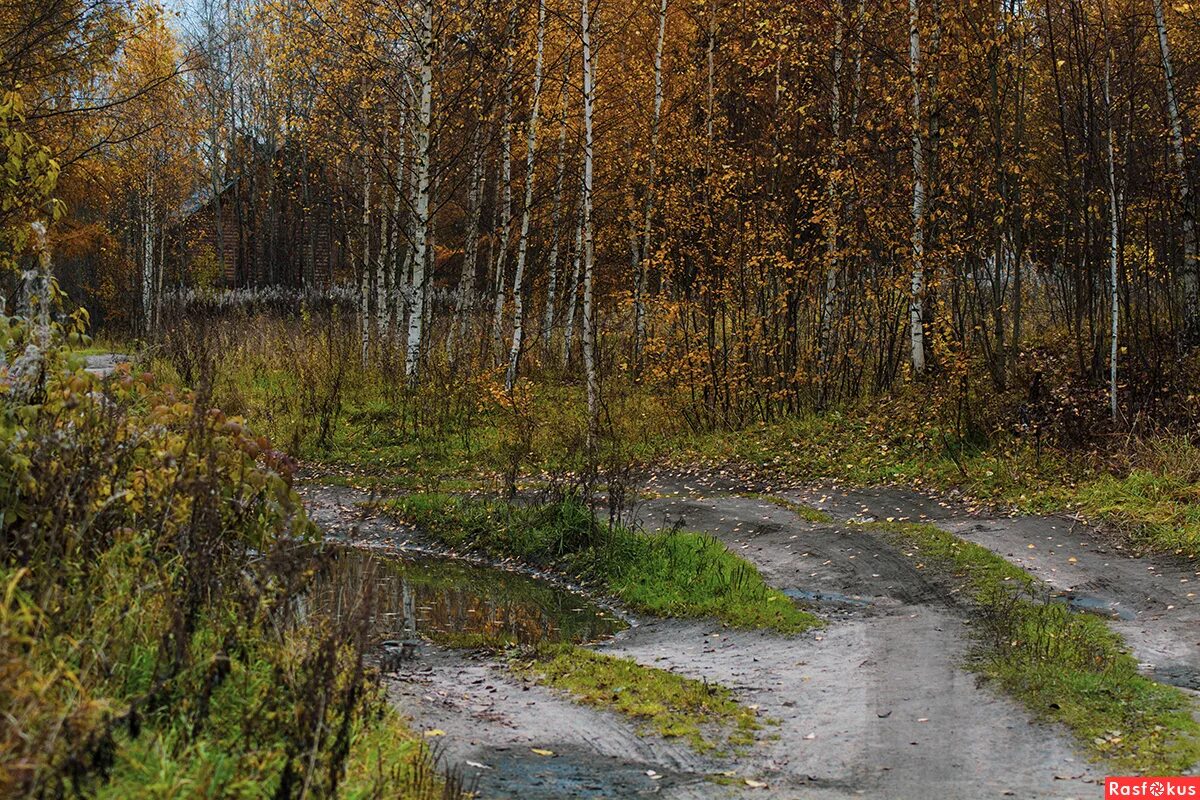 Довольно скучная пора стоял ноябрь уж у двора. Стоял октябрь уж у двора пушкин. Приближалась довольно скучная пора. Ноябрь уж на дворе. Стоял ноябрь у двора.