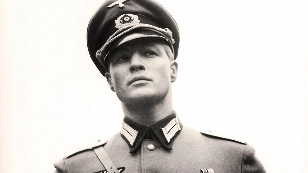 Как выглядит вернер