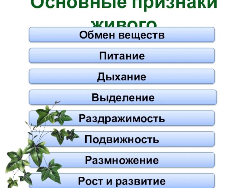 Отличие живых организмов от неживых. Признаки живой природы. 5 Признаков живого организма. Признаки живого от неживого организма.