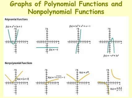 Polynomial
