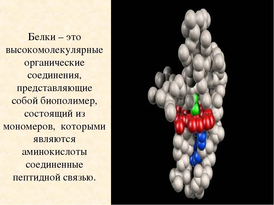 Белок органическое вещество. Белки и нуклеиновые кислоты 9 класс. Органические соединения белки. Белки как биологические полимеры. Органические вещества белки биология.
