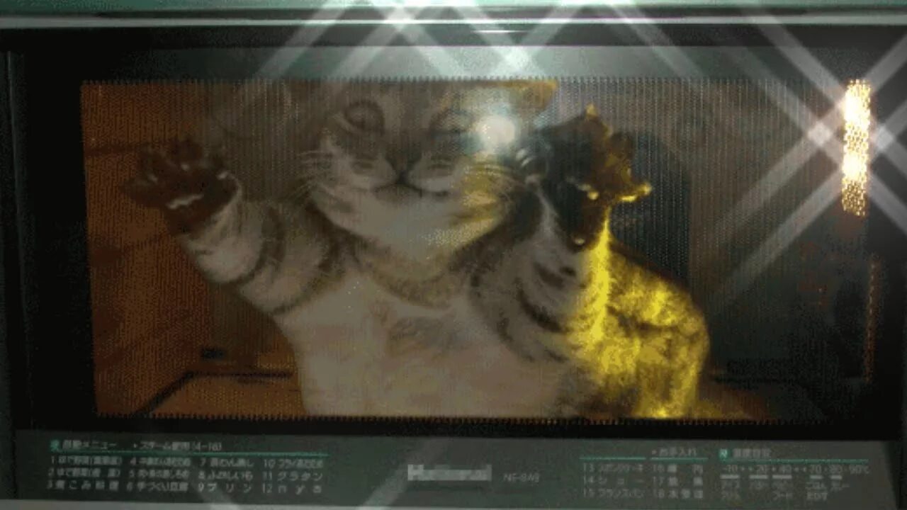 Кошачья микроволновка. Кот в микроволновке. Кот в микроволновке. Кота засунули в микроволновку. Смешные микроволновки.