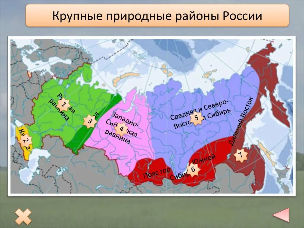 Как можно проводить районирование. Физико-географическое рацонирование росси. физ-геогрфическое районирование россии. карта физико-географического районирования россии. границы крупных природных районов россии на карте.