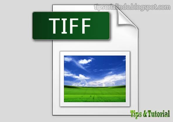 Tiff размер. TIFF значок. Изображения в формате TIFF. Файл формата TIFF. Иконка графического файла.
