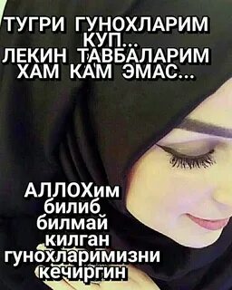 Гунохлар сояси 23