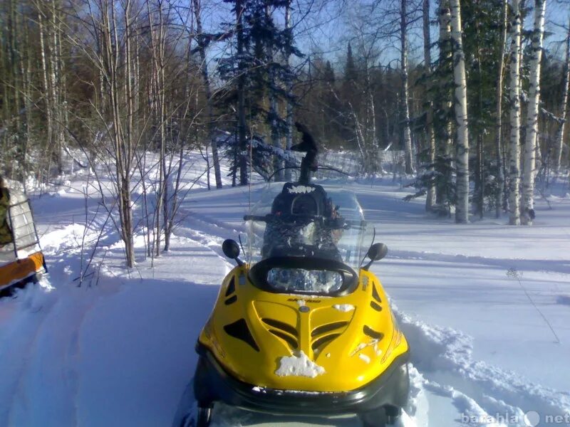 BRP Skandic 600. Ski Doo Skandic 600. BRP Ski-Doo Skandic 600. Снегоход Скандик 500. Ski doo scandic