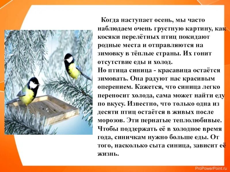 Текст про синицу. Синица факты для детей. Факты о синичках. Интересные факторы о синице. Самые интересные факты о синицах.