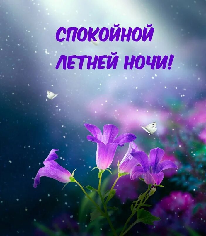 Доброй летней ночи. Спокойной летней ночки. Спокойной летней ночки. Открытки с цветами с пожеланиями. Доброй ночи картинки.