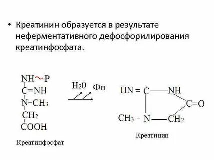 Креатинфосфат восстановление
