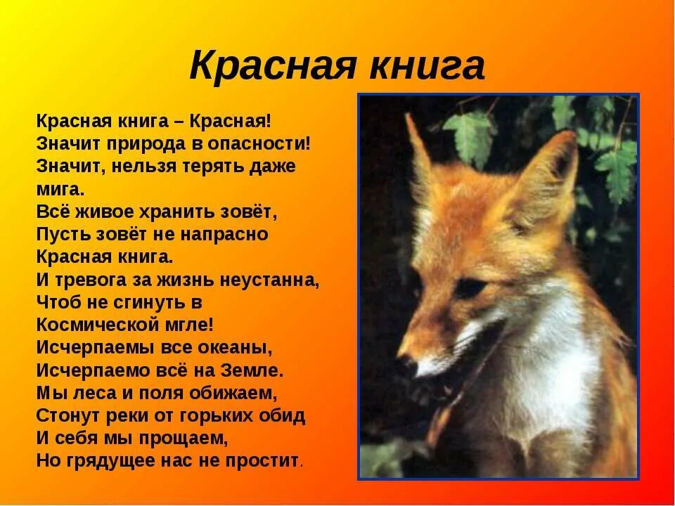 животные евразии. энциклопедия «живая природа». обитатели поля. проект животные леса. лес для презентации.