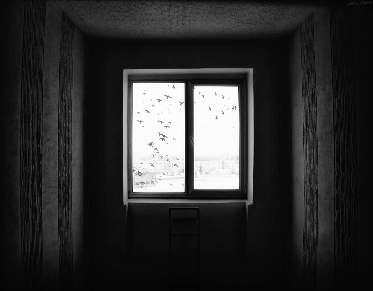 Окно становится черным. Темная комната с окном. Тёмная комнота с окном. Окно из комнаты.