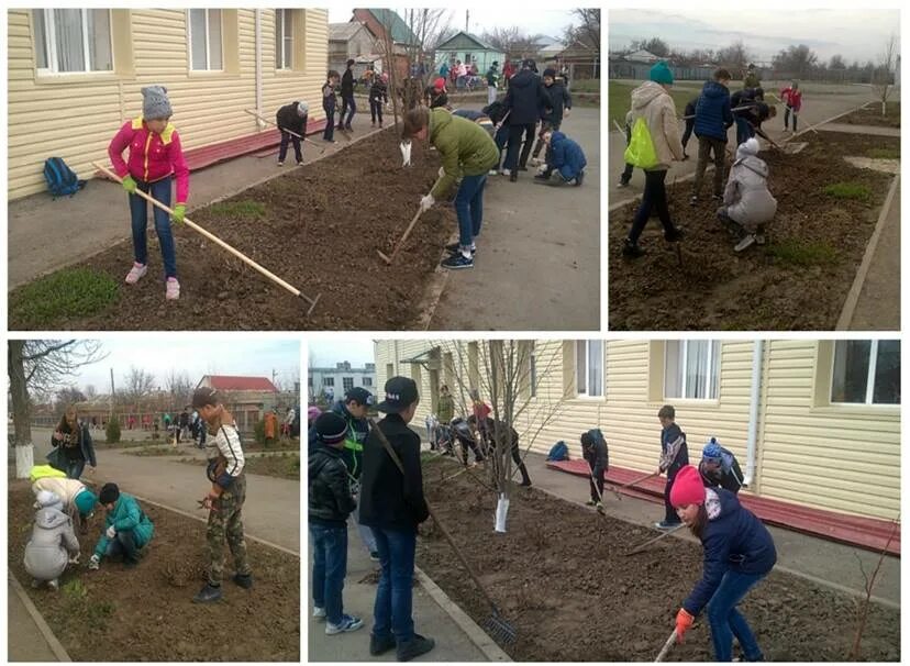 Работа поселок орловский