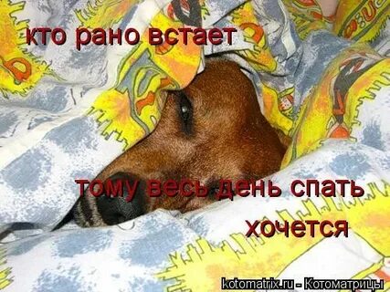 Все время охота спать