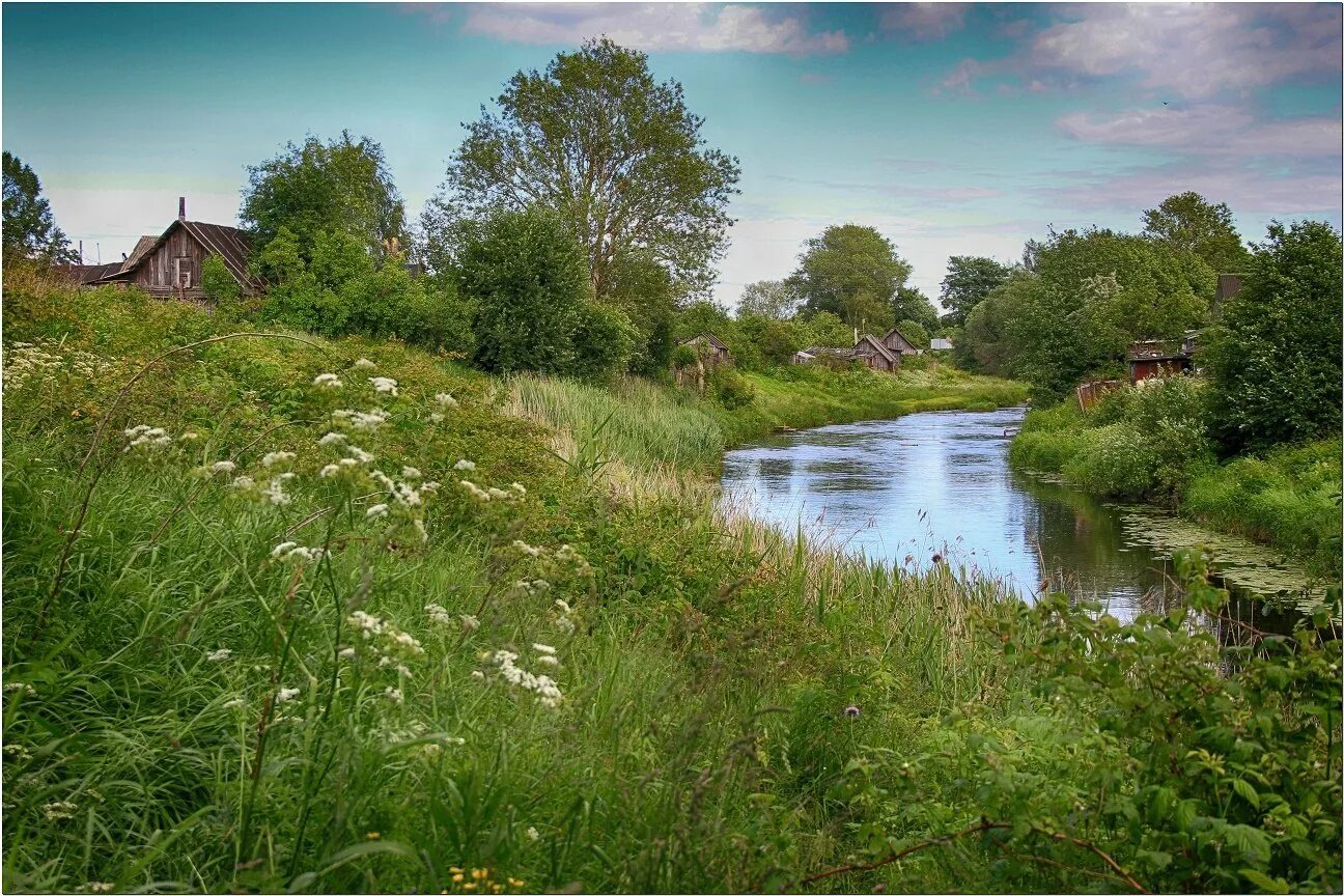 деревенский домик. сельцовы деревеньки вязниковский район. природа лето деревня. атмосфера деревни. лето в деревне.