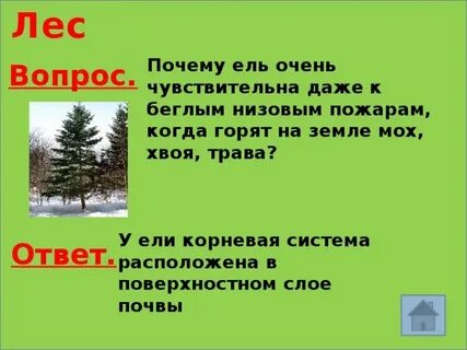 Ели вопрос