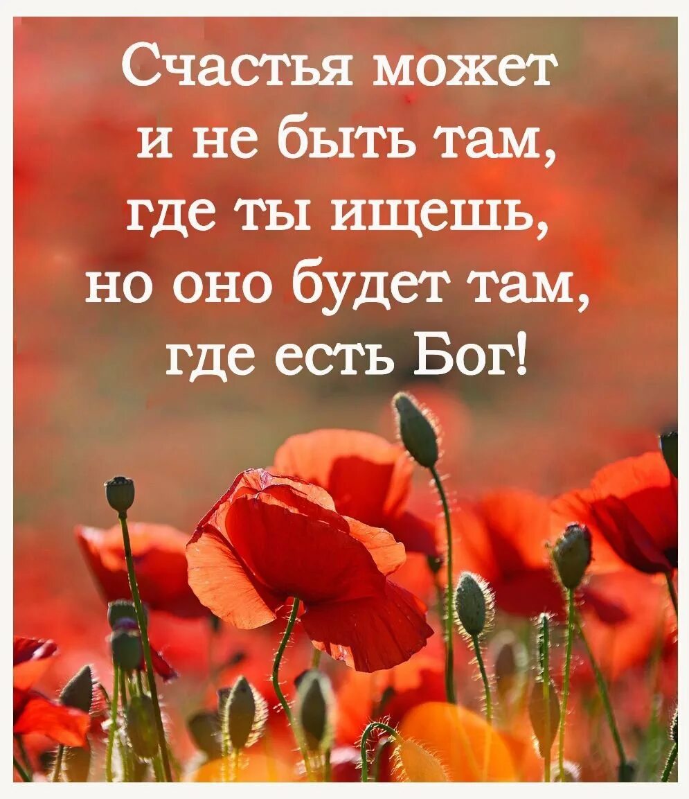 Хорошего дня мудрости. Христианские высказывания. Афоризмы христианские. Мудрые христианские высказывания. Открытки со стихами из Библии.