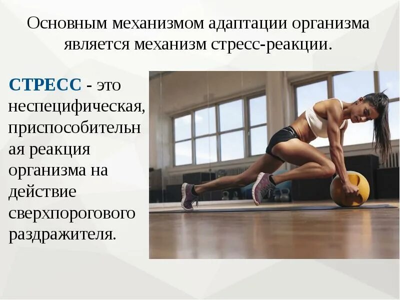 Презентация тренировок. Адаптация к физическим упражнениям. Адаптация к физическим упражнениям презентация. Слайд тренировка. Неспецифические упражнения это.