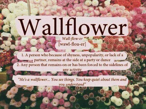 Wallflower meaning. Wallflower перевод. The perks of perks of being a wallflower учитель. Wallflower идиома. Stephen chbosky the perks of being a wallflower.