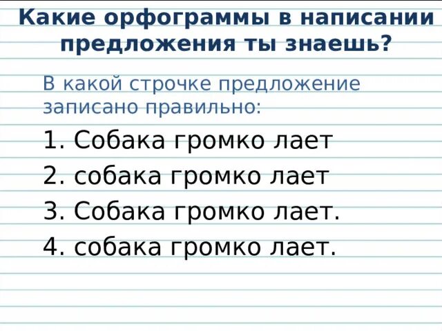 5 строчек предложение