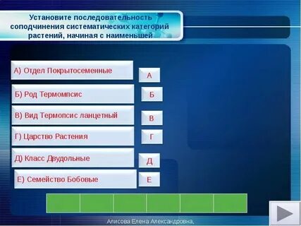 Соподчинение основных систематических категорий